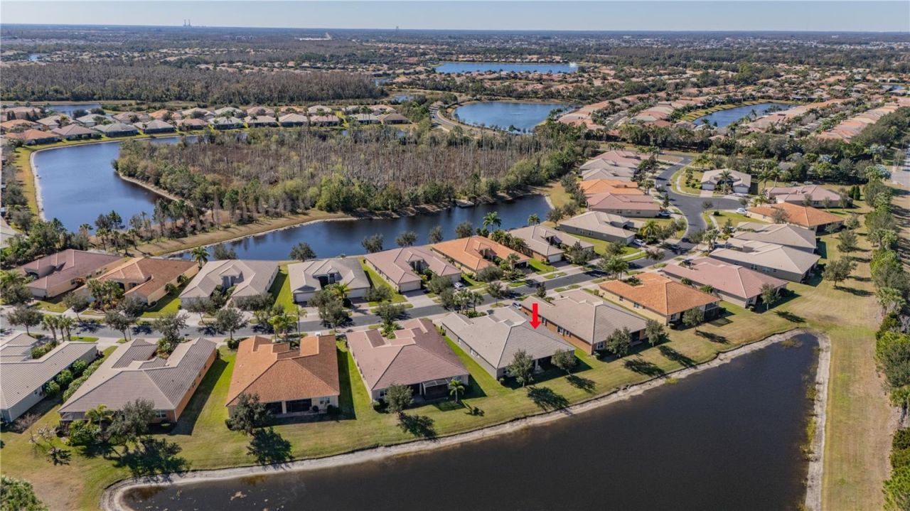 15644 Aurora Lake Circle, Wimauma, FL 33598 Photo