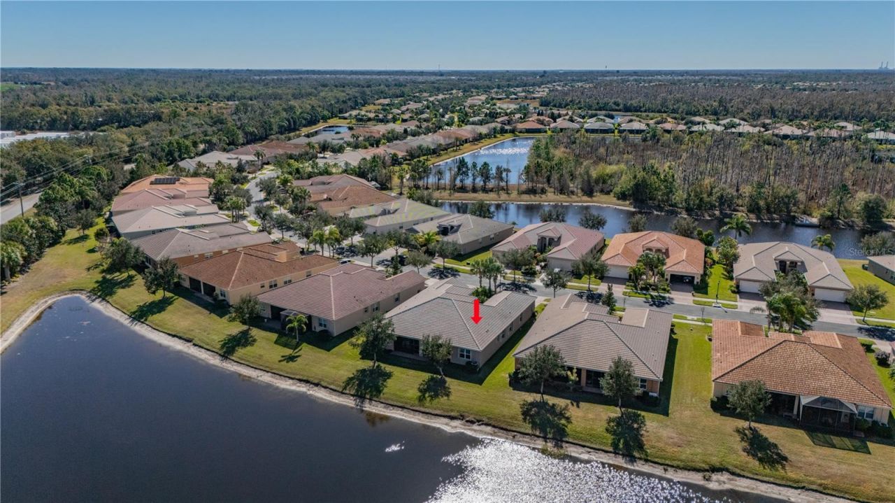 15644 Aurora Lake Circle, Wimauma, FL 33598 Photo