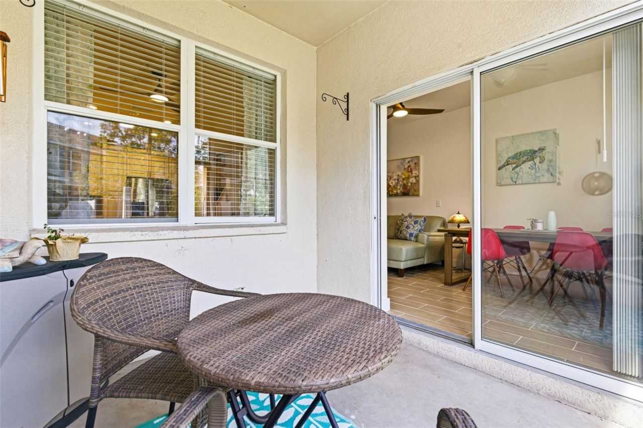 541 Black Lion Drive Ne, Saint Petersburg, FL 33716 Photo