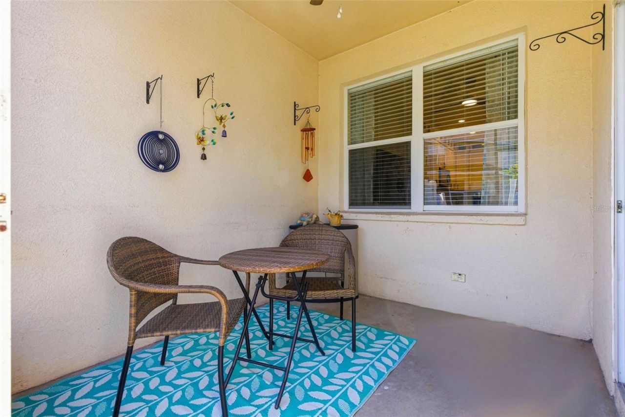 541 Black Lion Drive Ne, Saint Petersburg, FL 33716 Photo