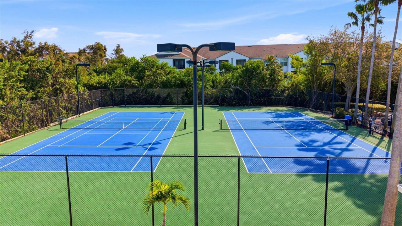 541 Black Lion Drive Ne, Saint Petersburg, FL 33716 Photo