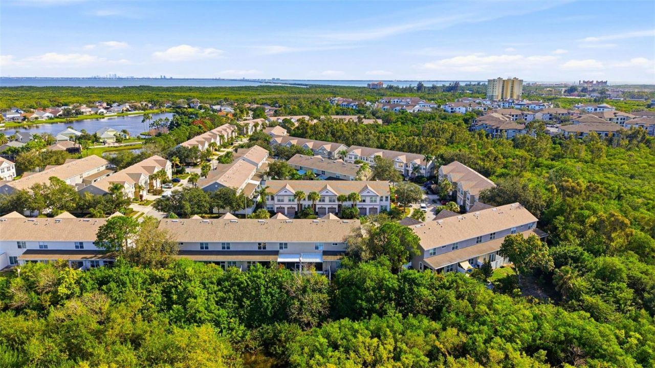 541 Black Lion Drive Ne, Saint Petersburg, FL 33716 Photo