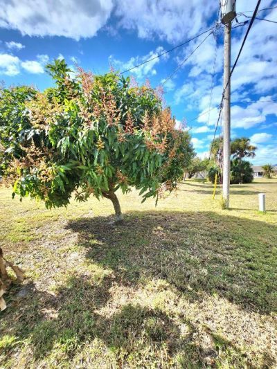 721 SW Swan Avenue, Port Saint Lucie, FL 34983 Photo