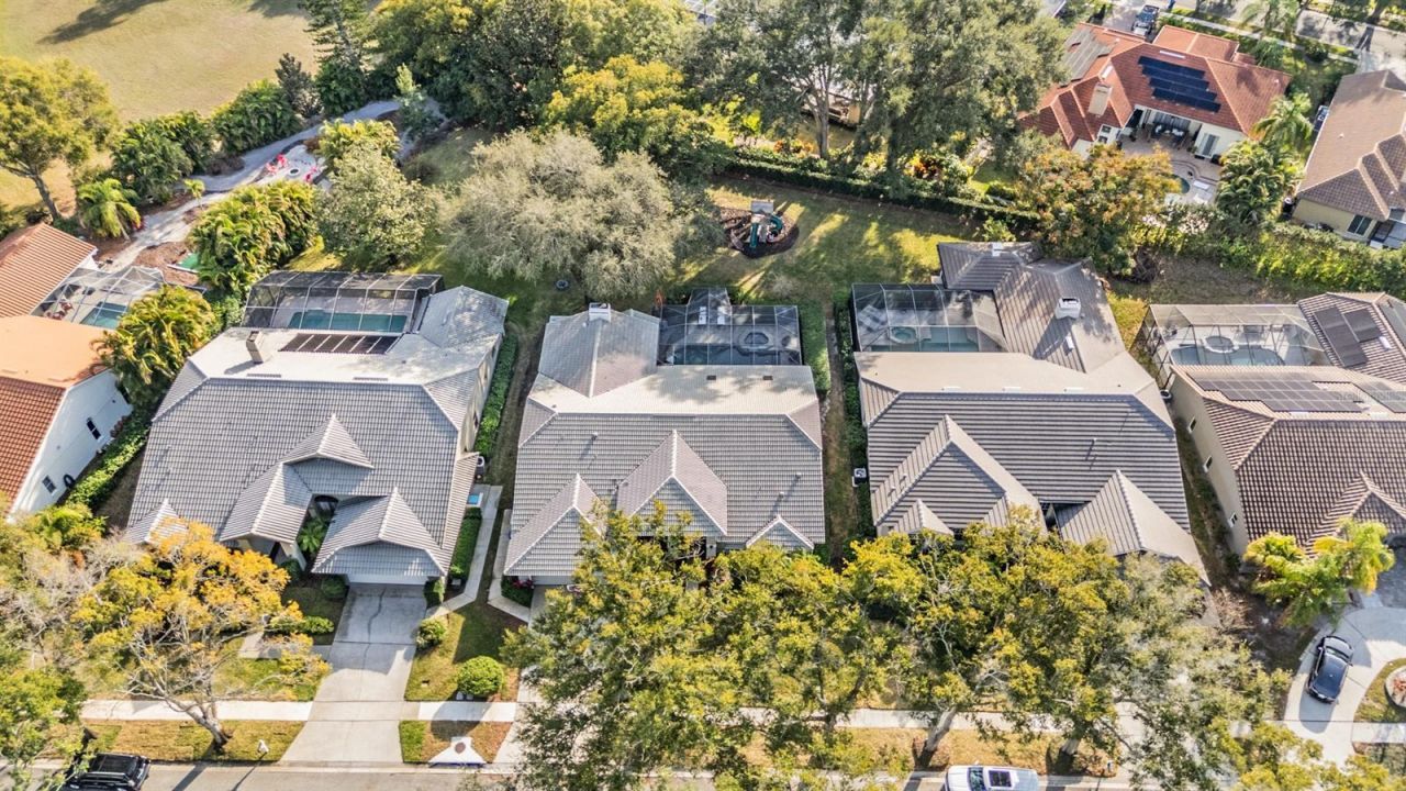 2264 Pinnacle Circle N, Palm Harbor, FL 34684 Photo