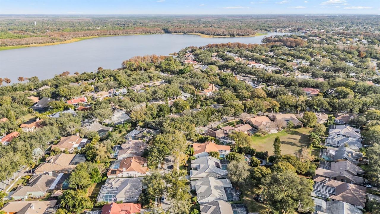 2264 Pinnacle Circle N, Palm Harbor, FL 34684 Photo