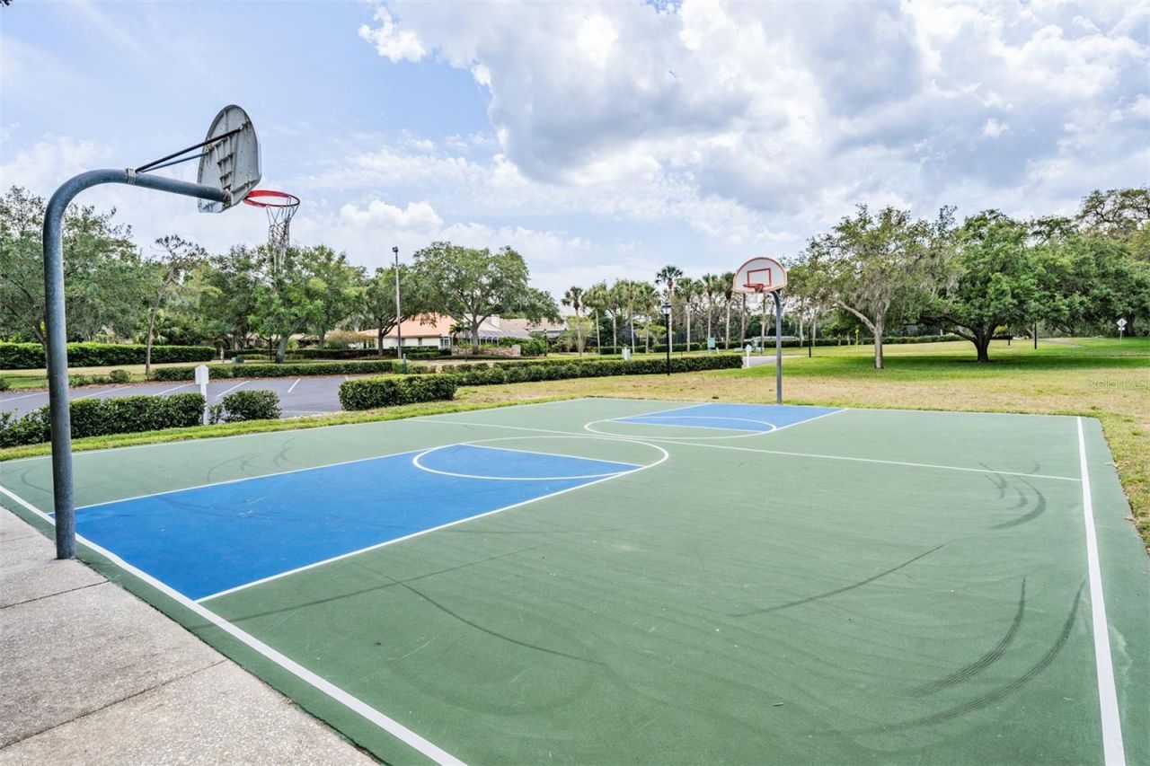 2264 Pinnacle Circle N, Palm Harbor, FL 34684 Photo