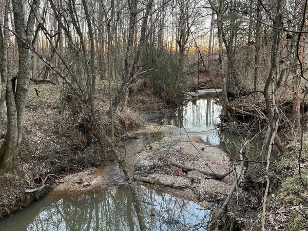 0 N Brice Horton Road, Delight, AR 71940