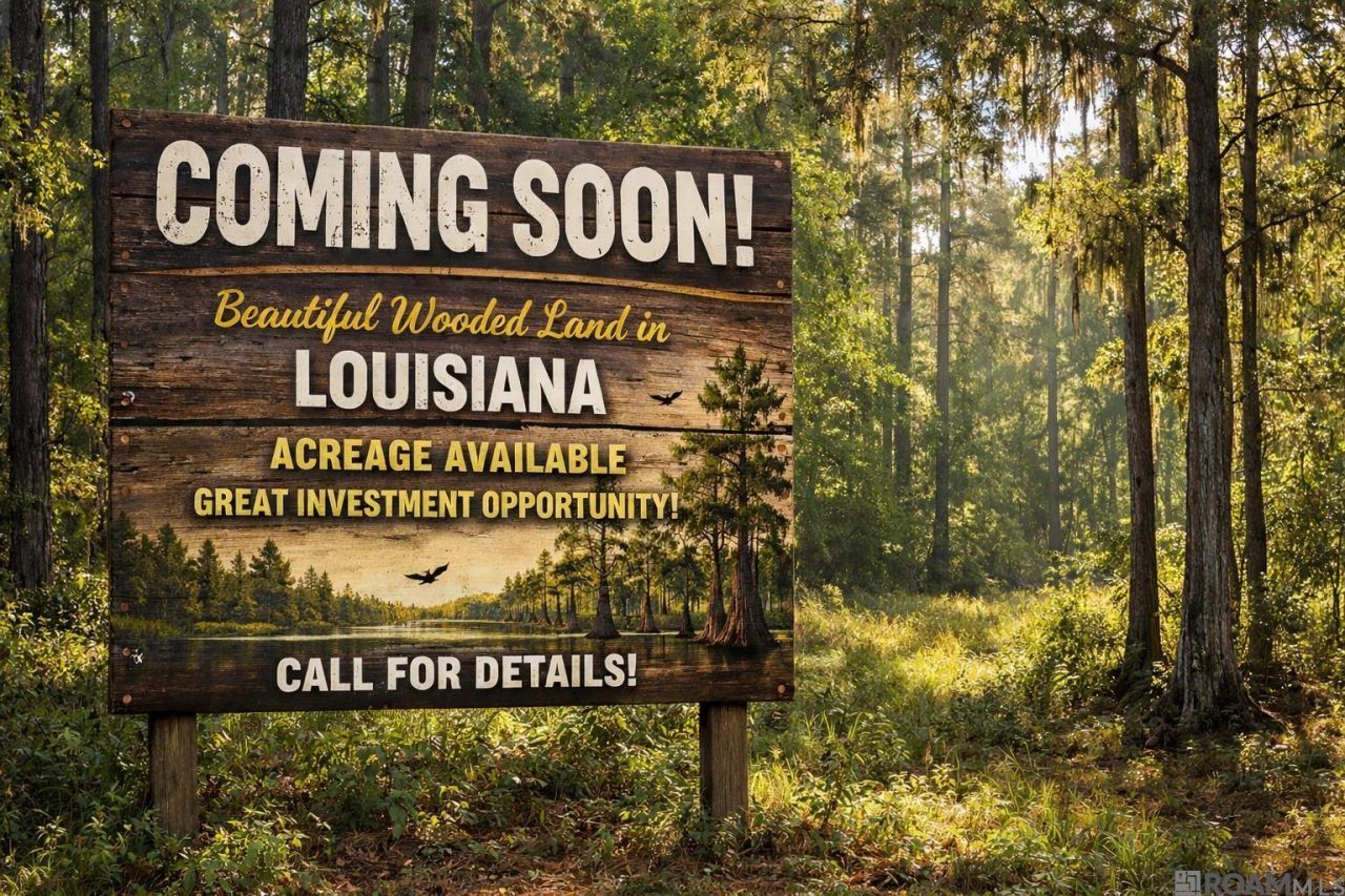 4-a-2 La Hwy 1032, Denham Springs, LA 70726 Main Photo
