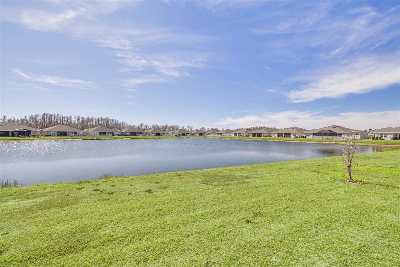 18158 Turning Leaf Circle, Land O Lakes, FL 34638 Photo