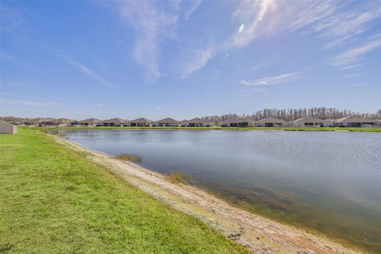 18158 Turning Leaf Circle, Land O Lakes, FL 34638 Photo