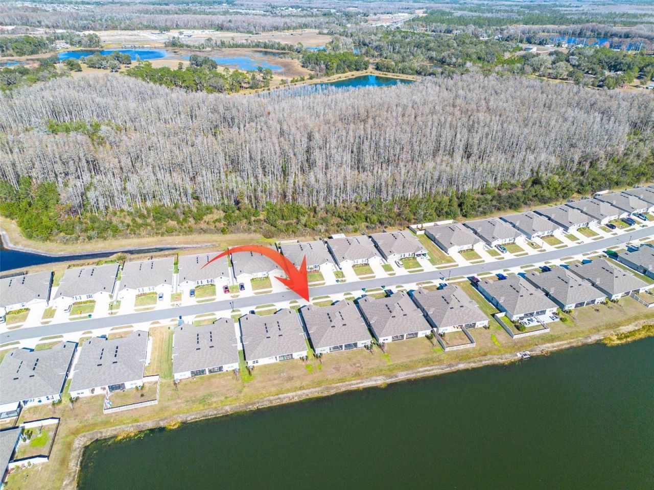18158 Turning Leaf Circle, Land O Lakes, FL 34638 Photo