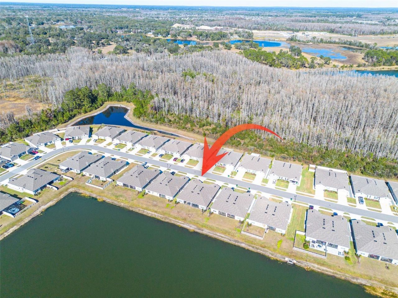 18158 Turning Leaf Circle, Land O Lakes, FL 34638 Photo