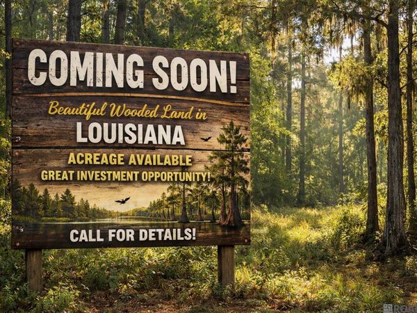 4-A-3 La Hwy 1032, Denham Springs, LA 70726