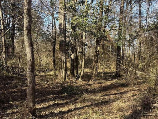 4-A-4 La Hwy 1032, Denham Springs, LA 70726