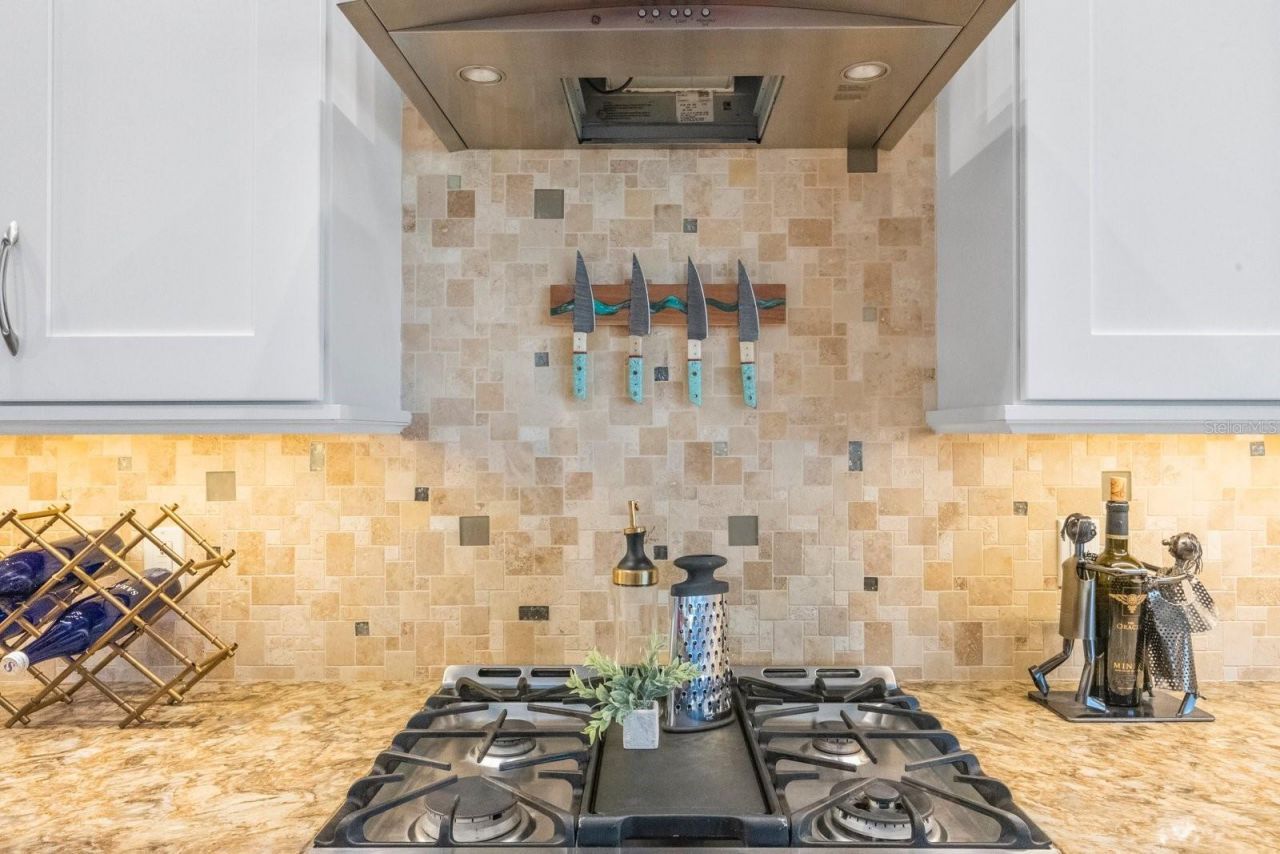 826 Christina Circle, Oldsmar, FL 34677 Photo