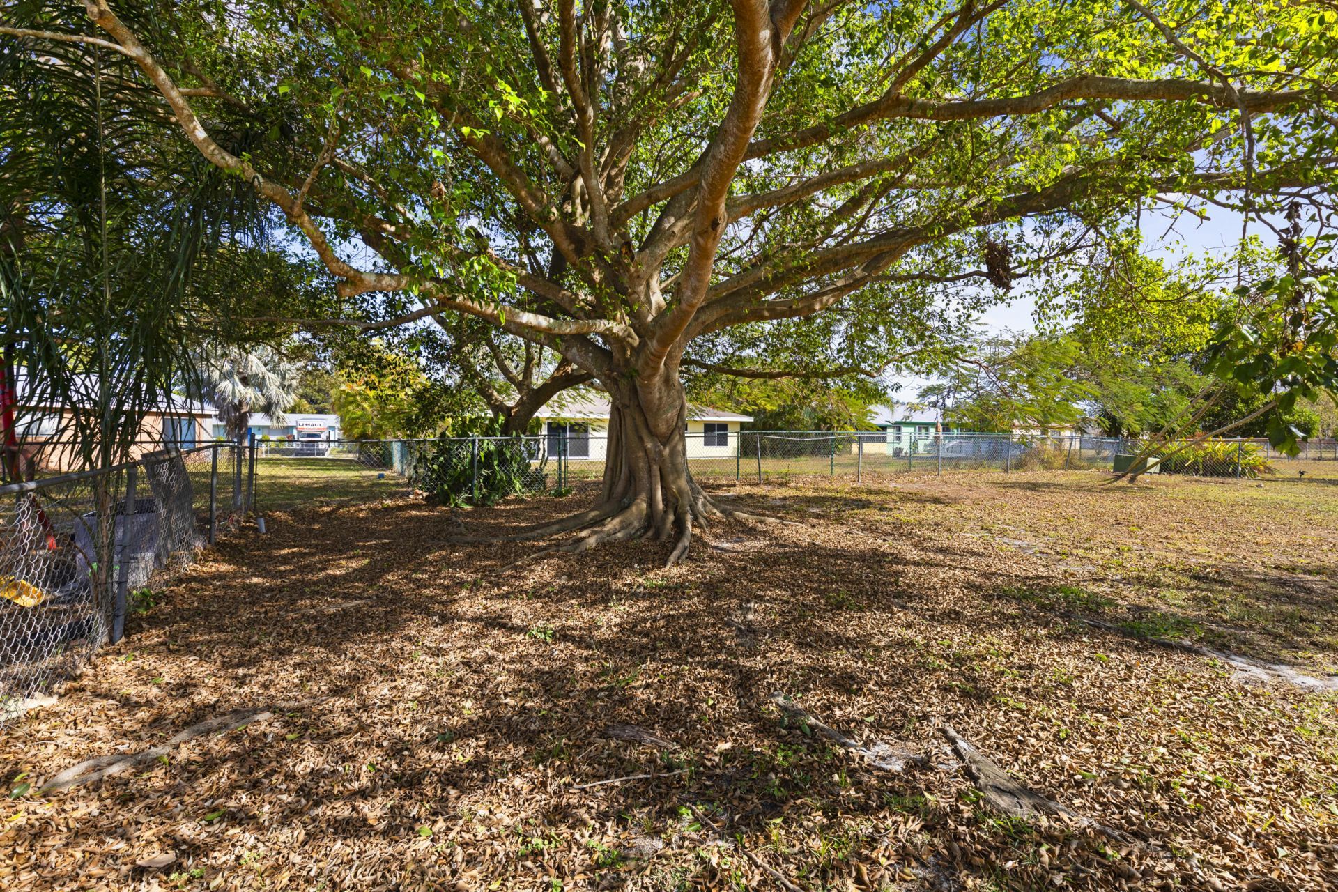3161 SW Watson Court, Port Saint Lucie, FL 34953 Photo
