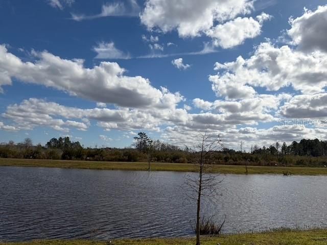 6952 Audobon Osprey Cove, Harmony, FL 34773 Photo