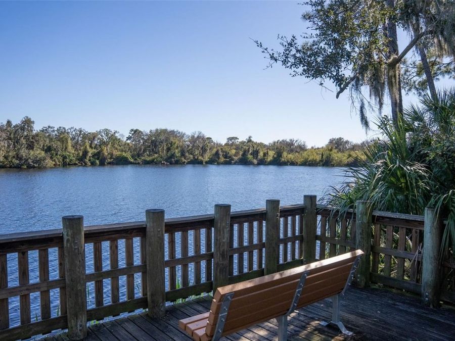 Property Image 85
