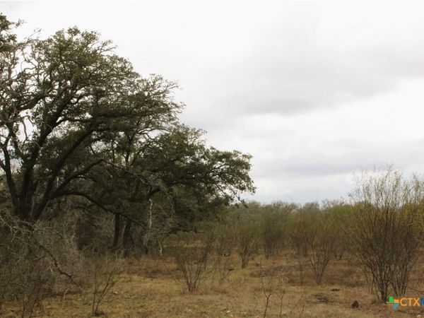 0 FM 3353, Kingsbury, TX 78638