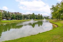 144 Fairbanks Oak Alley photo 4