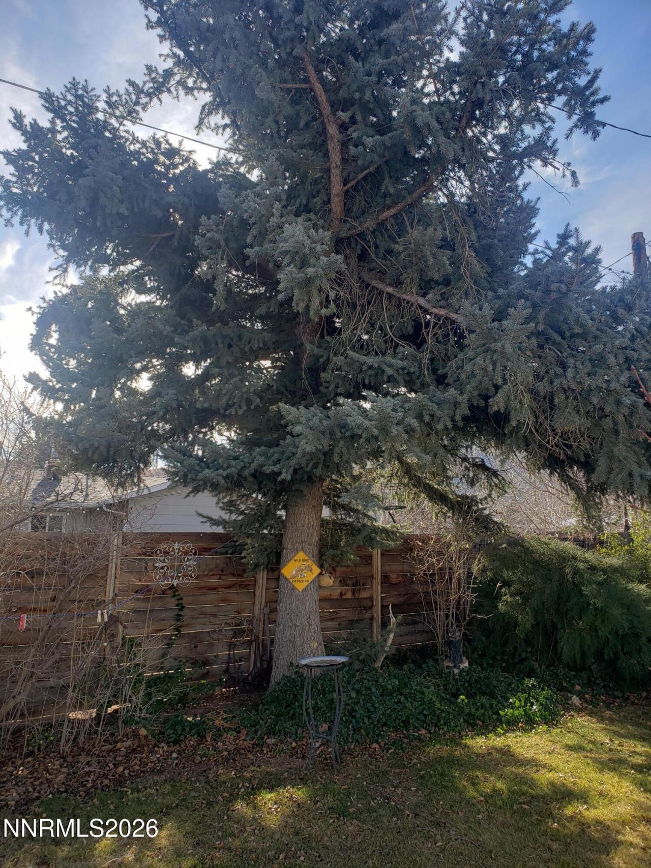 813 W Fifth Street, Carson City, NV 89703 Photo