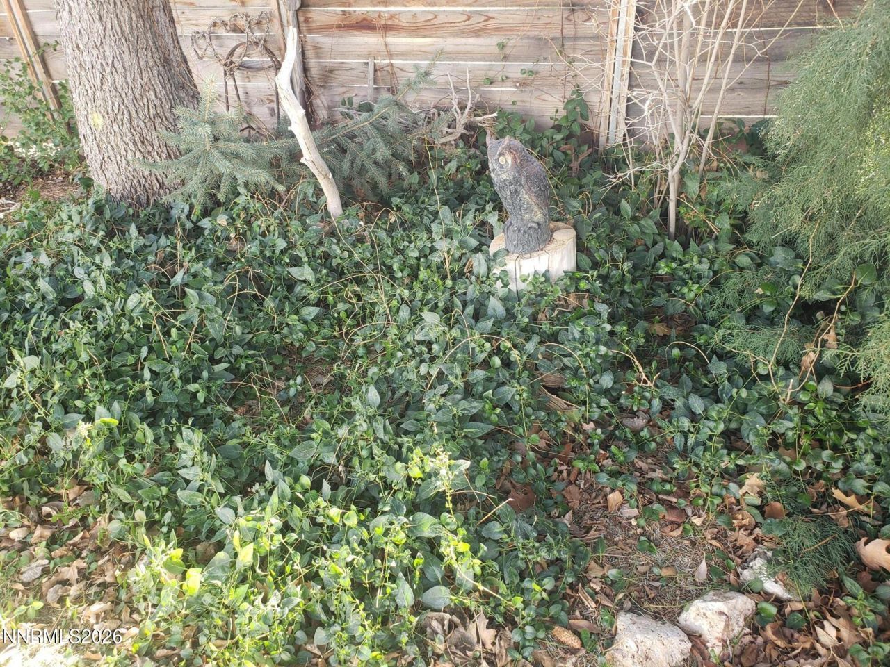 813 W Fifth Street, Carson City, NV 89703 Photo