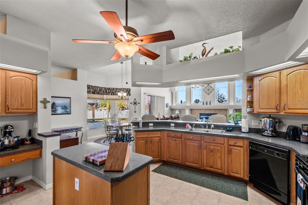 14206 Melouga Preserve Trail, Dover, FL 33527 Photo