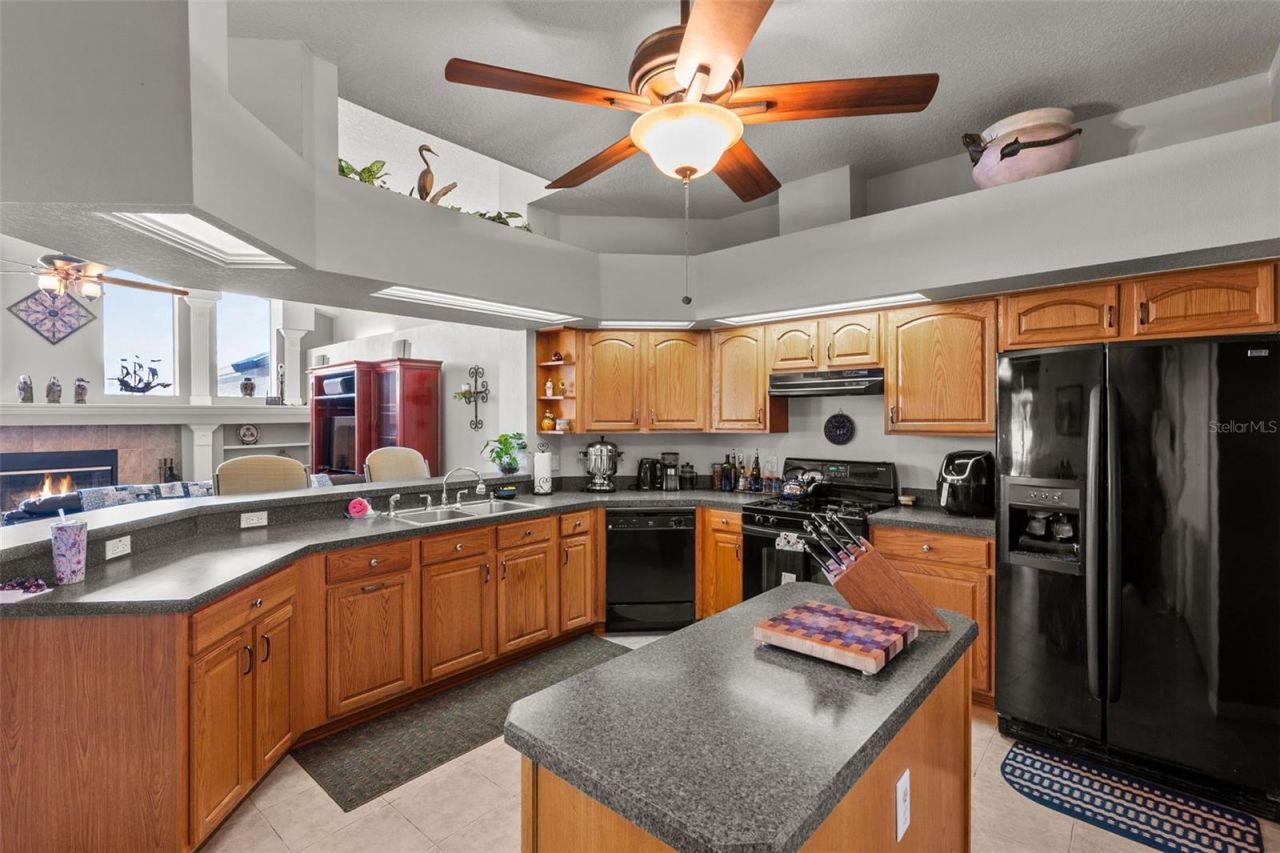 14206 Melouga Preserve Trail, Dover, FL 33527 Photo