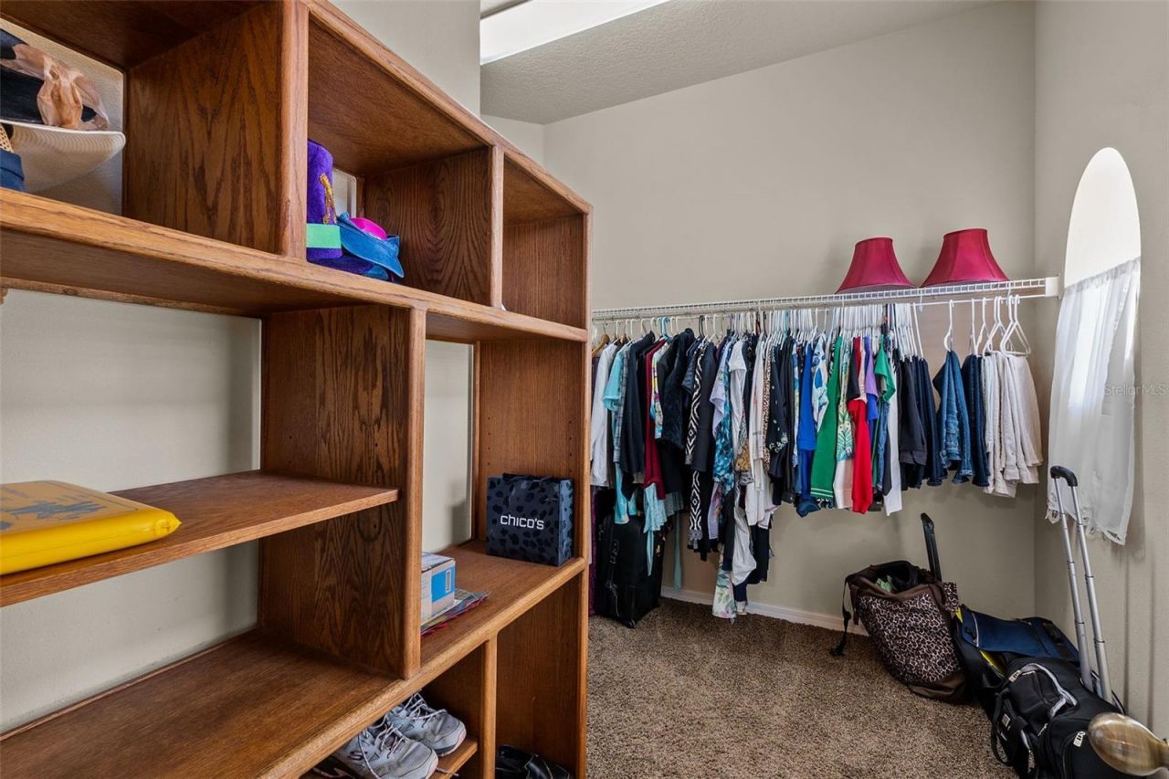 14206 Melouga Preserve Trail, Dover, FL 33527 Photo