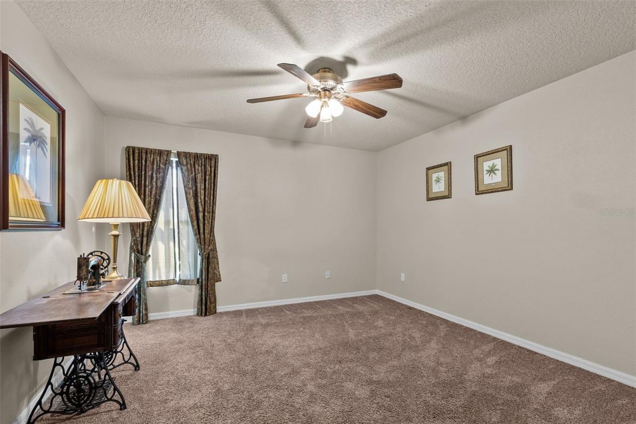 14206 Melouga Preserve Trail, Dover, FL 33527 Photo