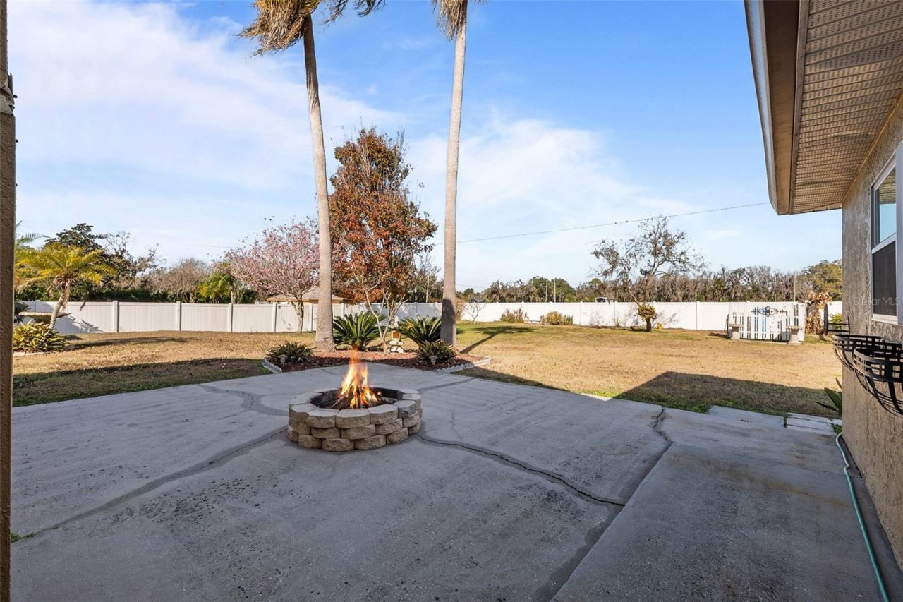 14206 Melouga Preserve Trail, Dover, FL 33527 Photo