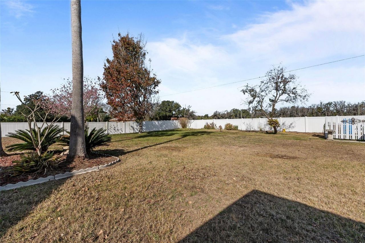 14206 Melouga Preserve Trail, Dover, FL 33527 Photo