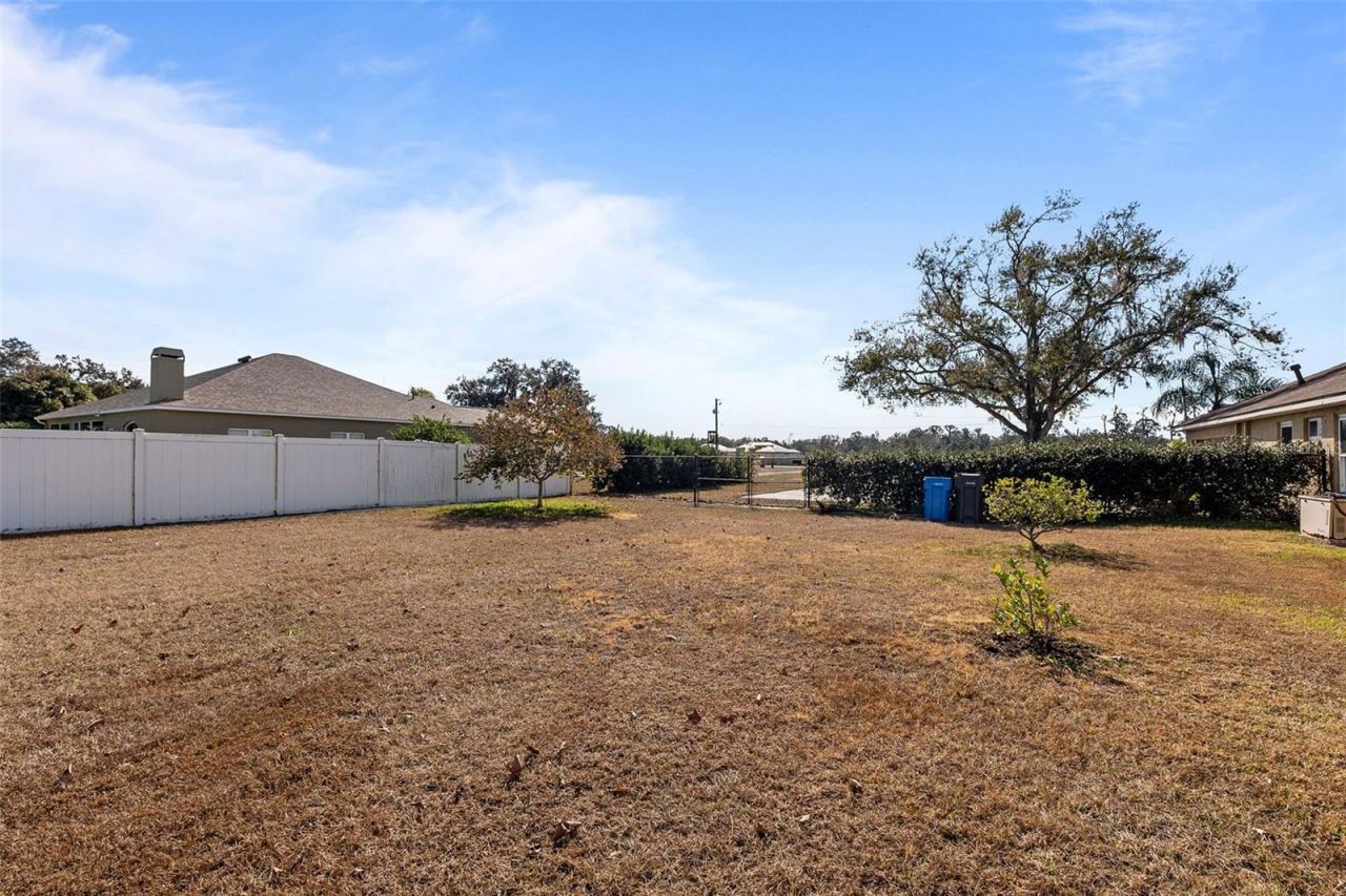 14206 Melouga Preserve Trail, Dover, FL 33527 Photo