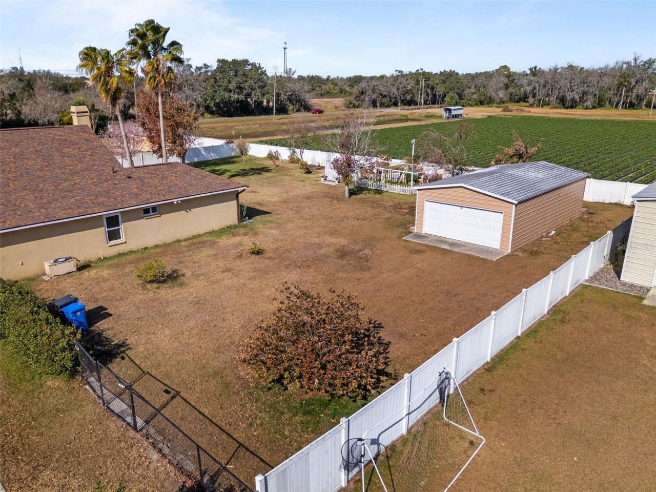 14206 Melouga Preserve Trail, Dover, FL 33527 Photo