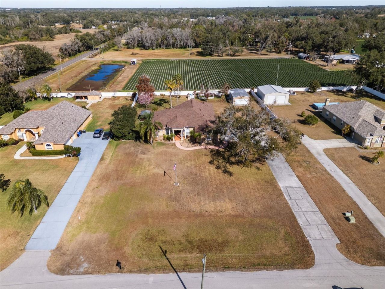 14206 Melouga Preserve Trail, Dover, FL 33527 Photo