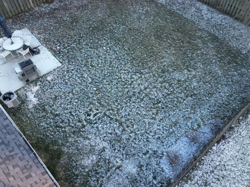 3563 Frenchpark Drive, Columbus, OH 43231 Photo 14