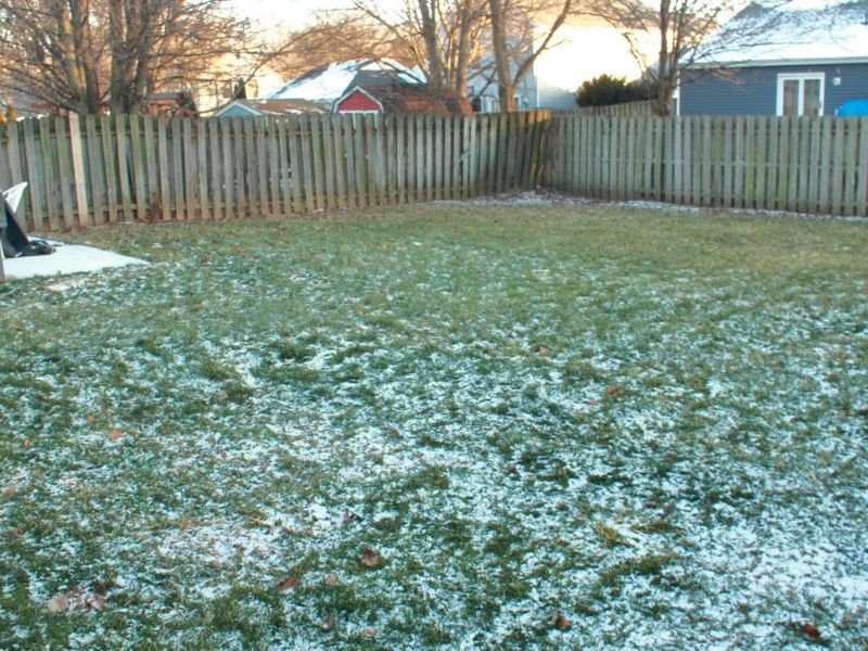 3563 Frenchpark Drive, Columbus, OH 43231 Photo 15