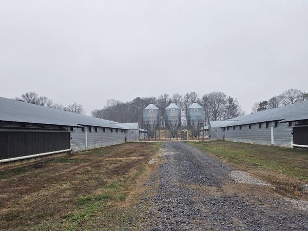 313 Ed Cross Road SE, Cleveland, TN 37323