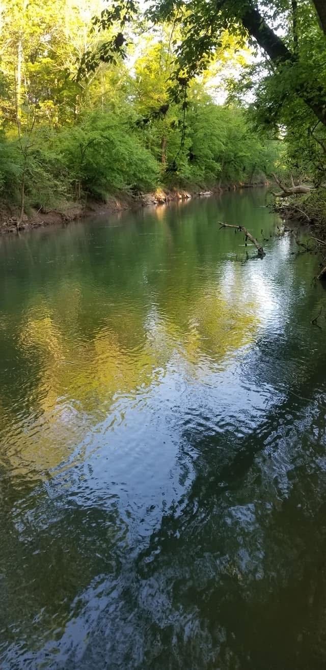 1440 Mcclardy Road, Clarksville, TN 37042 Main Photo