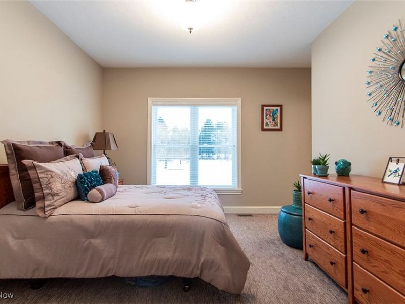 3610 Zenith Lane, Litchfield, OH 44253 Photo 26