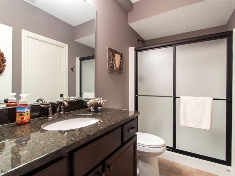 3610 Zenith Lane, Litchfield, OH 44253 Photo 36