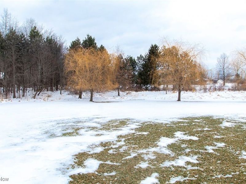 3610 Zenith Lane, Litchfield, OH 44253 Photo 40