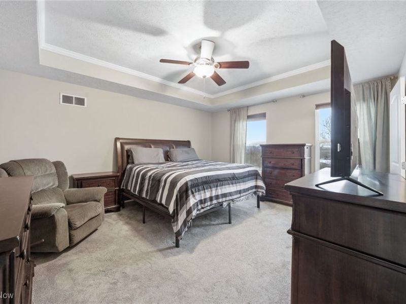 10132 Scenic View Drive, Twinsburg, OH 44087 Photo 22