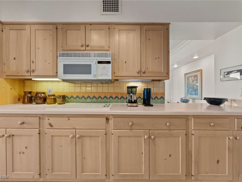 2 Bratenahl Place, Unit 3F, Bratenahl, OH 44108 Photo 27