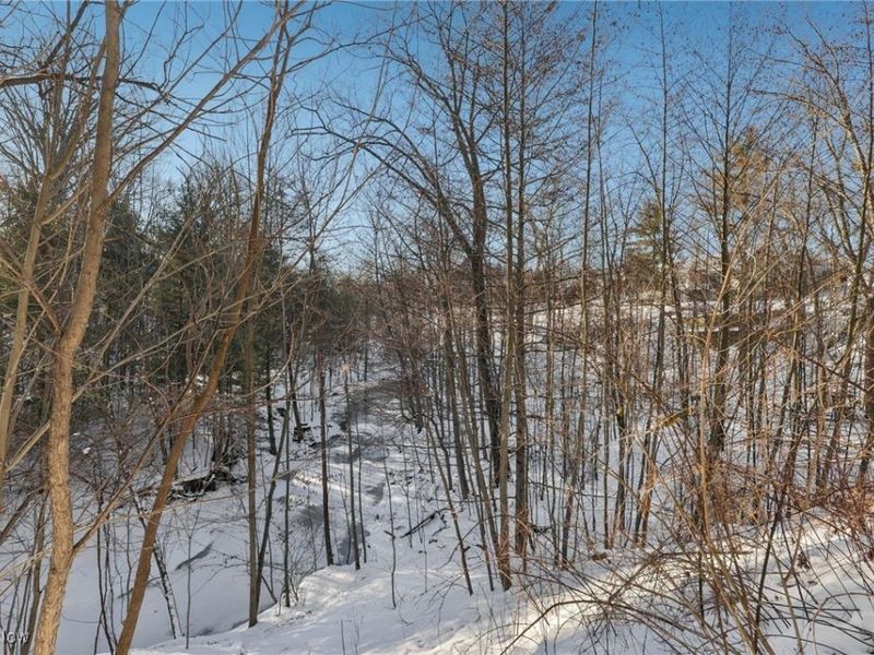 2 Creek Ridge, Rocky River, OH 44116 Photo 49