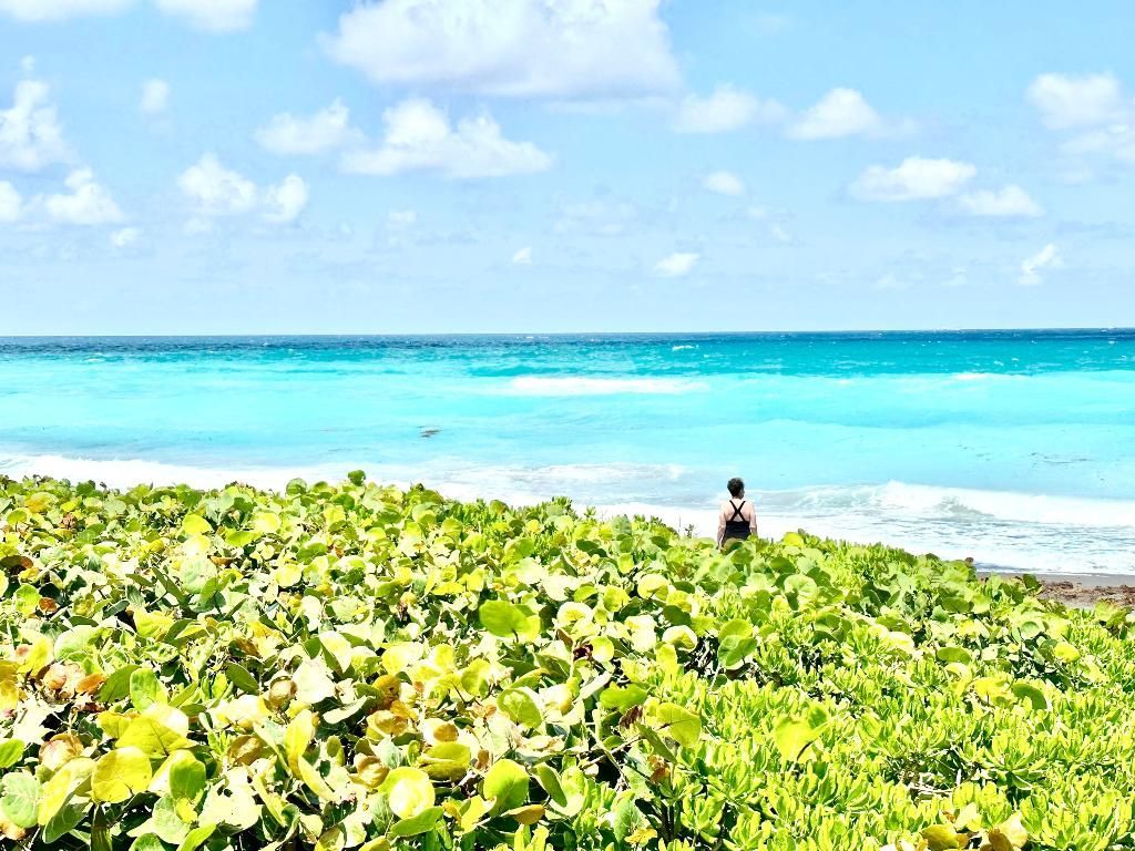 420 Celestial Way, Unit 301, Juno Beach, FL 33408 Photo