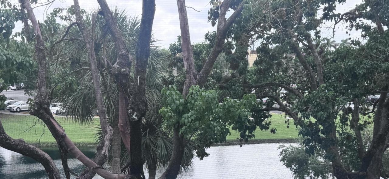 3301 NW 47th Terrace, Unit 316, Lauderdale Lakes, FL 33319 Photo