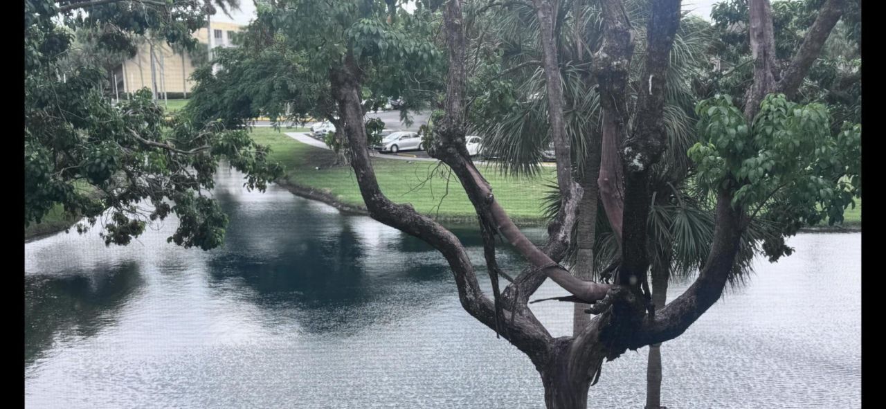 3301 NW 47th Terrace, Unit 316, Lauderdale Lakes, FL 33319 Photo