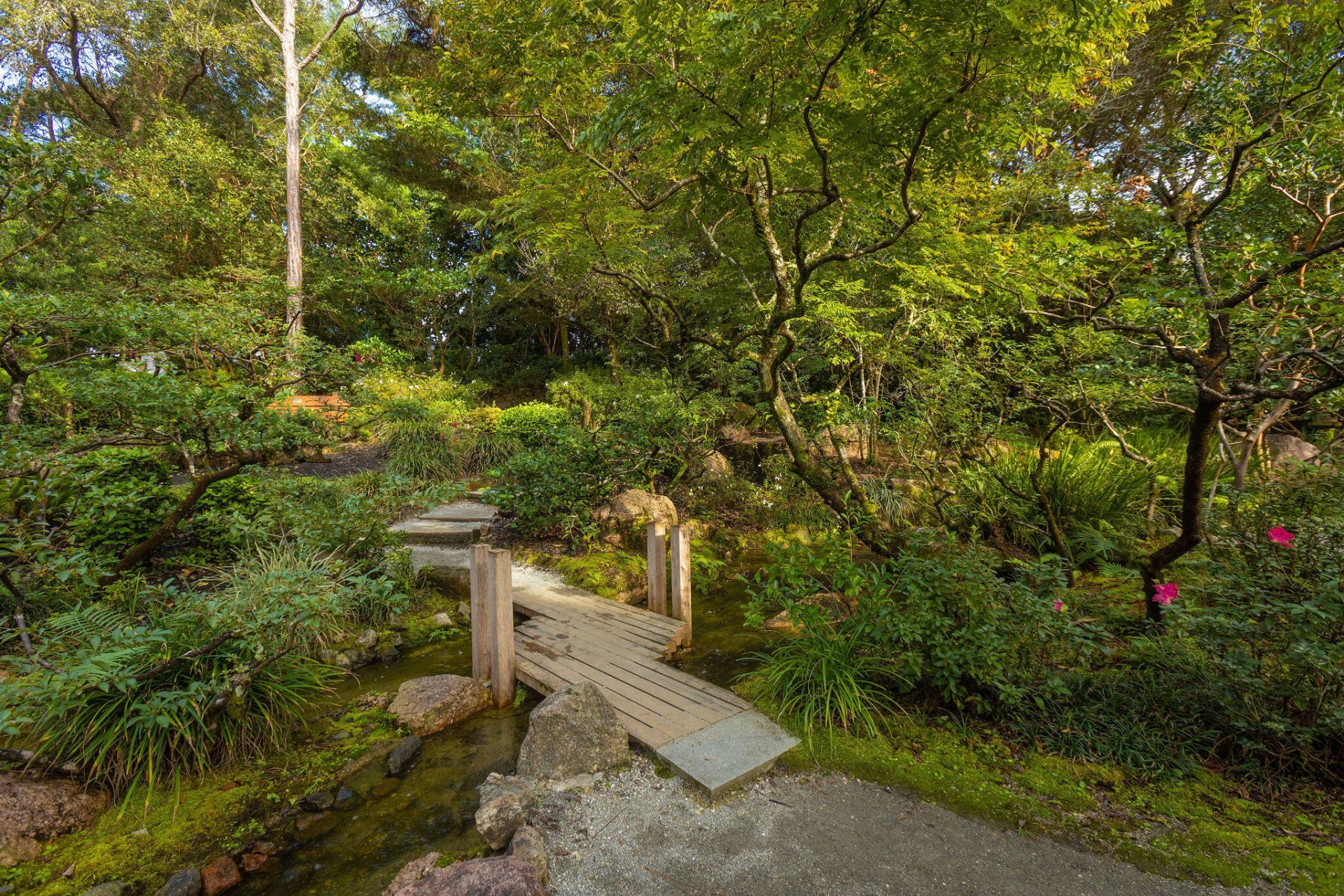 299 SW 7th Street, Unit 1040, Boca Raton, FL 33432 Photo