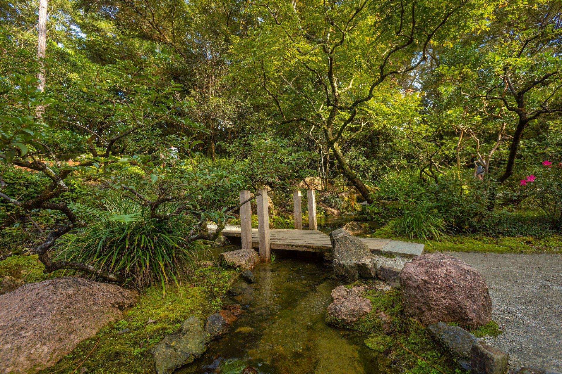 299 SW 7th Street, Unit 1040, Boca Raton, FL 33432 Photo